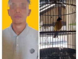 Pencuri Burung dan Uang Tunai Diringkus Unit Reskrim Polsek Pesisir Tengah
