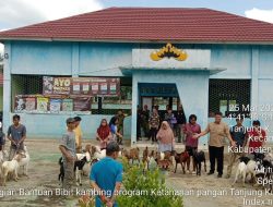 Pemerintah Kampung Tanjung Kurung Lama Bagikan 28 Kambing